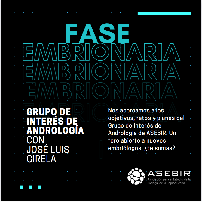 FASE EMBRIONARIA: «Conociendo el GI de Andrología de la mano de su presidente, José Luis Girela»
