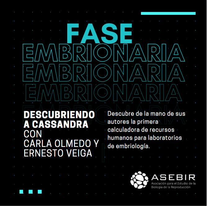 FASE EMBRIONARIA:  Descubrimos CASSANDRA, la calculadora de RRHH para laboratorios de embriología